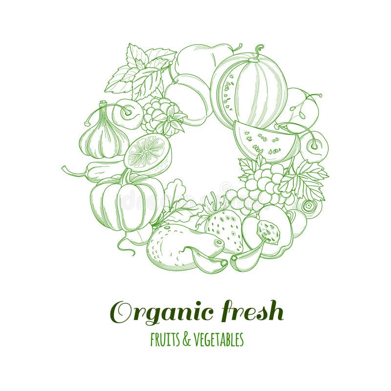 Litera sigla de tipar sigla organigramă fructe și legume proaspete de fermă vector illustration