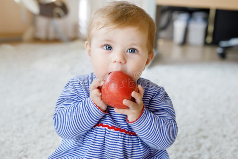 Litet f?rtjusande behandla som ett barn flickan som ?ter det stora r?da ?pplet Vitamin och sund mat f?r sm?barn St?ende av det h? royaltyfri bild Litet f?rtjusande behandla som ett barn flickan som ?ter det stora r?da ?pplet Vitamin och sund mat f?r sm?barn St?ende av det h? royaltyfri bild
