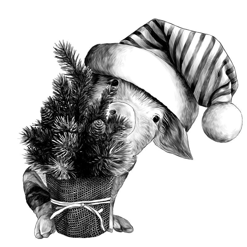 Litet julsvin i stor randig hatt med pompomen som ut sitter och bakifrån kikar den lilla dekorativa julgranen stock illustrationer Litet julsvin i stor randig hatt med pompomen som ut sitter och bakifrån kikar den lilla dekorativa julgranen stock illustrationer