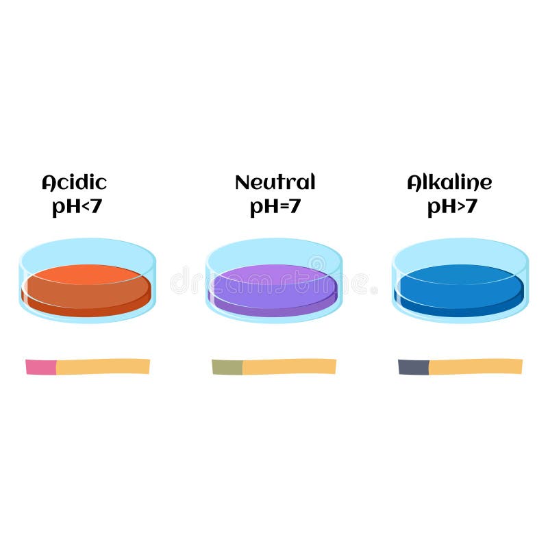 PH Scale Diagram with Corresponding Acidic or Alcaline Values. Universal PH  Indicator Paper Color Chart Stock Illustration - Illustration of liquid,  reaction: 119448660