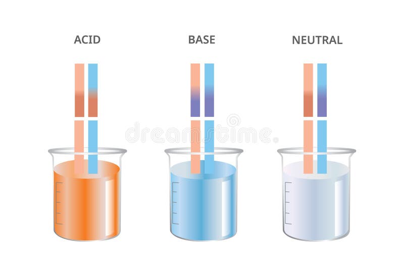 Litmus Test Met Zuur Base Neutrale Ph Paper Test. Vector Vector