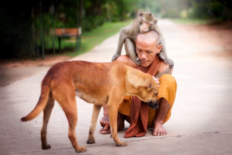 Buddhist monk have compassion for Dog and Monkey.Mercifulness in Buddhism. Buddhist monk have compassion for Dog and Monkey.Mercifulness in Buddhism