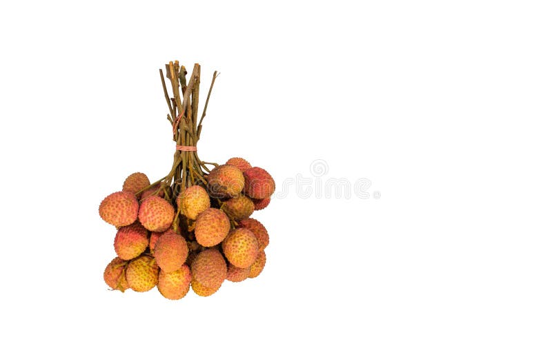 Litschis werden in Bündeln zum Verkauf gebündelt. weißer Hintergrund. stockfoto