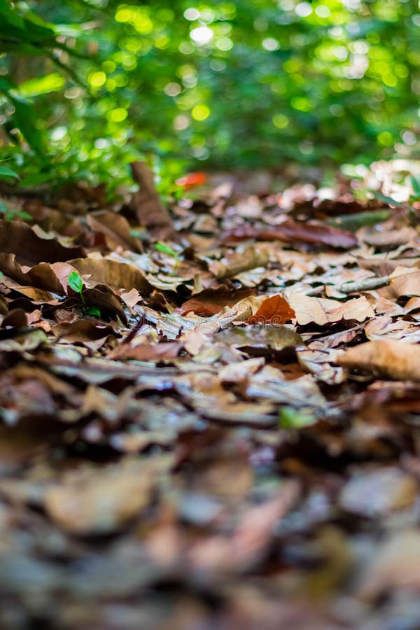 4,678 Soil Fertility Photos Free & RoyaltyFree Stock Photos from