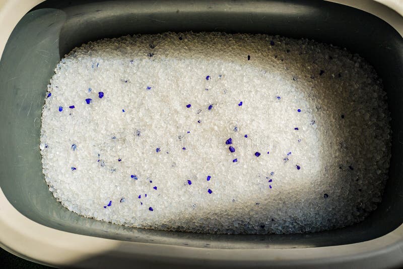 Litter Box with Sand on Bathroom Floor Stock Image Image of hygienic