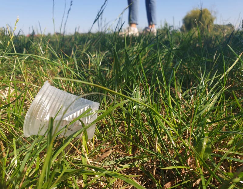 6,239 Ground Litter Photos Free & RoyaltyFree Stock Photos from