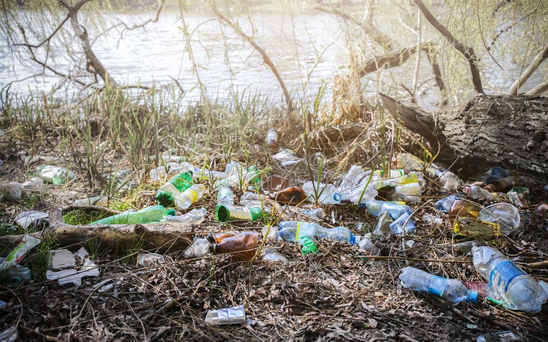 Litter plastic in the nature. Pollution of the environment. Ecological disaster. Green dirty water. Trash outdoors. Rubbish royalty free stock photos
