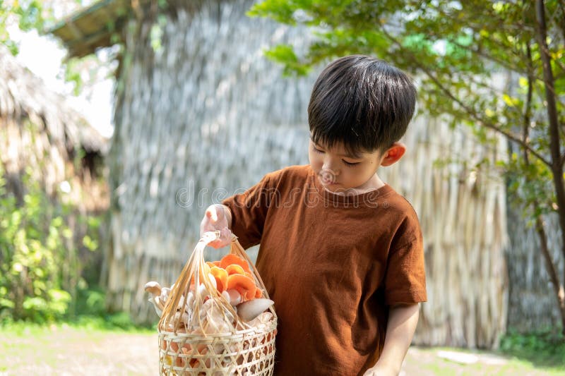 A little Asian boy is holding a basket of mushrooms.. with mushrooms in the basket royalty free stock image