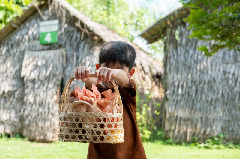 A little Asian boy is holding a basket of mushrooms.. with mushrooms in the basket stock image