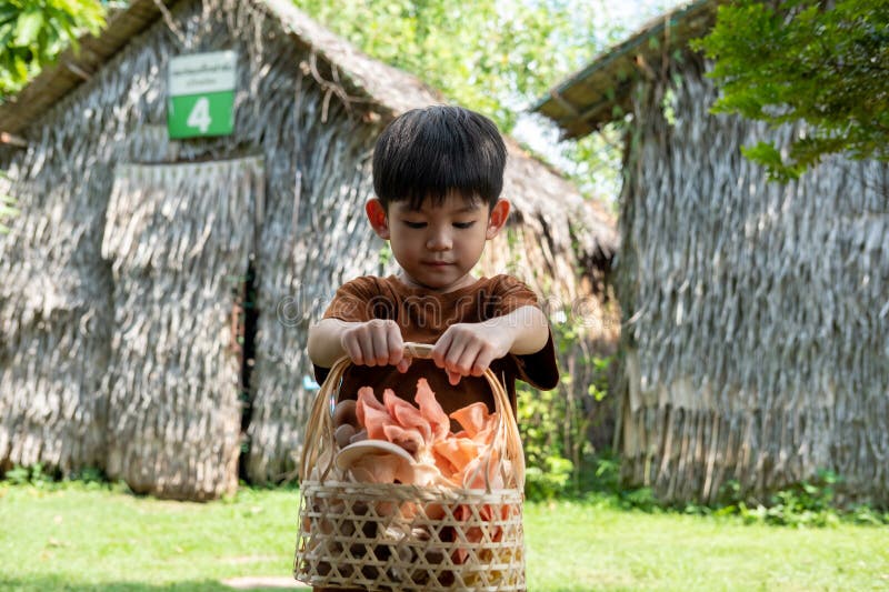 A little Asian boy is holding a basket of mushrooms.. with mushrooms in the basket stock photos