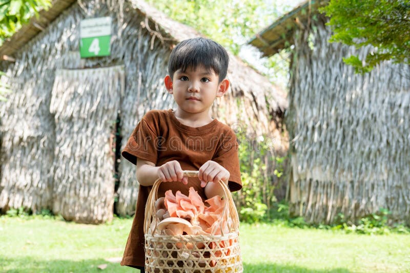 A little Asian boy is holding a basket of mushrooms.. with mushrooms in the basket stock images