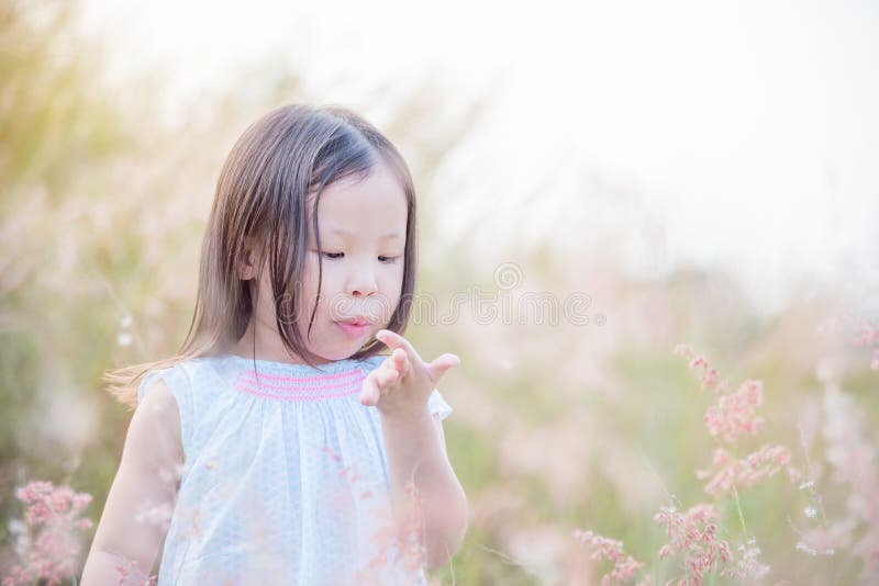 Little Girl Blowing Grass Flower in Field Stock Image - Image of ...