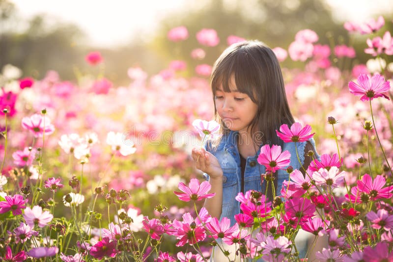 Little asian girl in flower fields.