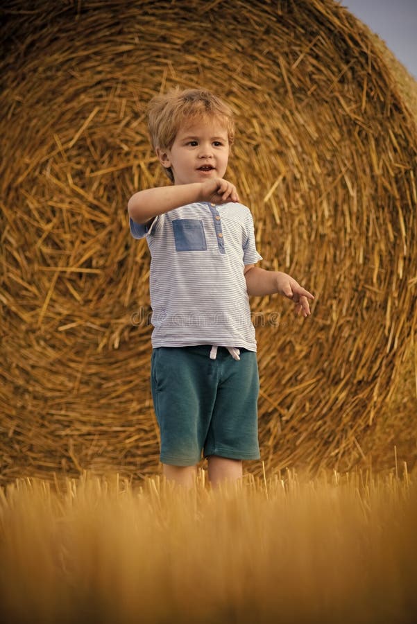 Little Baby Boy Stand on Farm with Hay Bale Stock Photo Image of