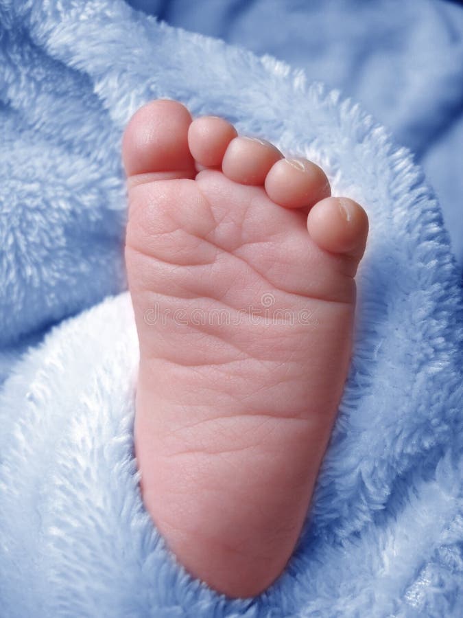 Little Baby Boys Foot stock image. Image of persons, objects - 903731