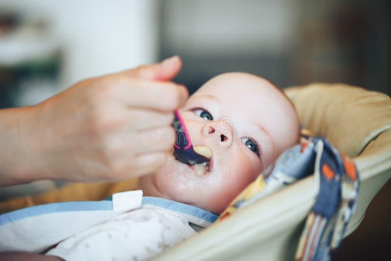Infant Baby Child Boy Six Months Old is Eating Stock Image - Image of