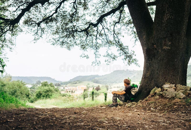282 Boy Rest Under Tree Stock Photos - Free & Royalty-Free Stock Photos from Dreamstime