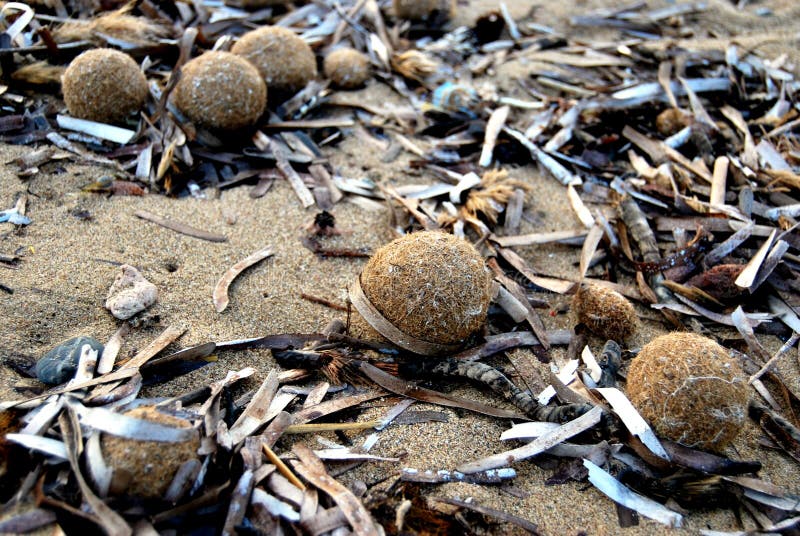 Little balls on the beach stock images Little balls on the beach stock images
