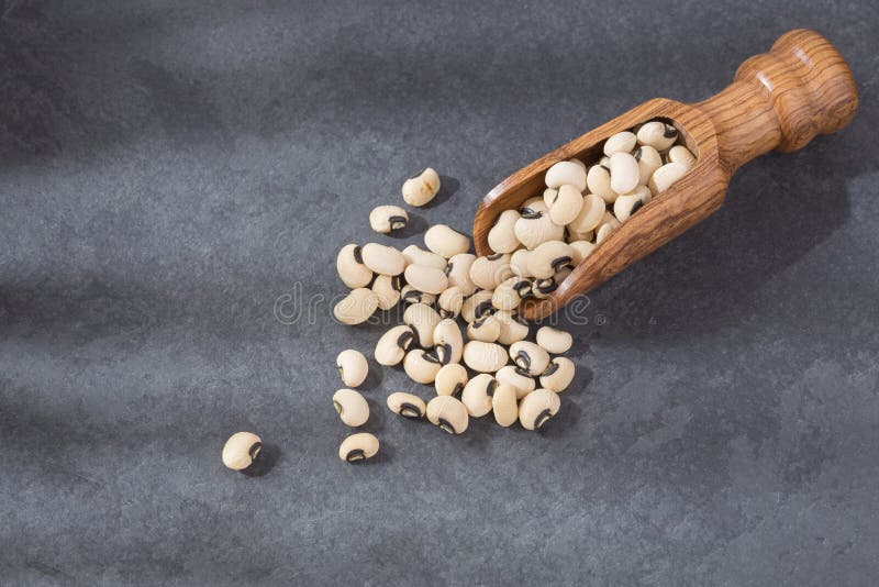 Black Eye Bean - Vigna Unguiculata Stock Image - Image of fresh