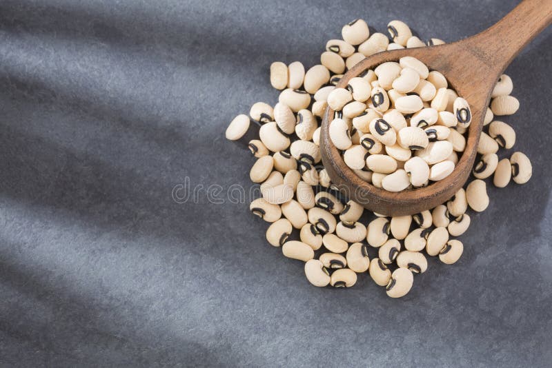 Black Eye Bean - Vigna Unguiculata Stock Image - Image of typical