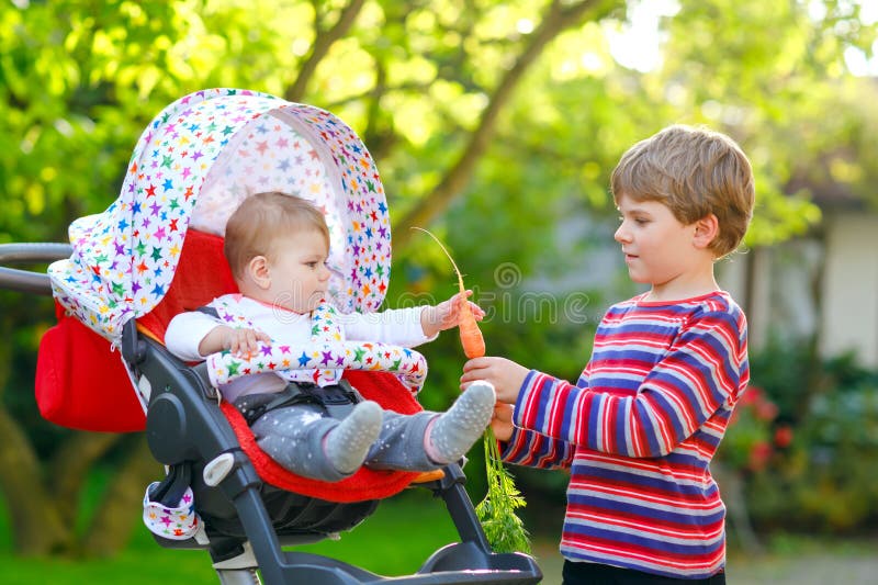 Little blond kid boy giving a carrot to baby sister. Happy siblings eating healthy snack. Baby girl sitting in pram or