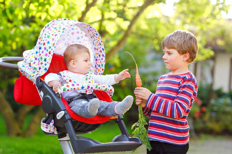 Little blond kid boy giving a carrot to baby sister. Happy siblings eating healthy snack. Baby girl sitting in pram or stock image Little blond kid boy giving a carrot to baby sister. Happy siblings eating healthy snack. Baby girl sitting in pram or stock image
