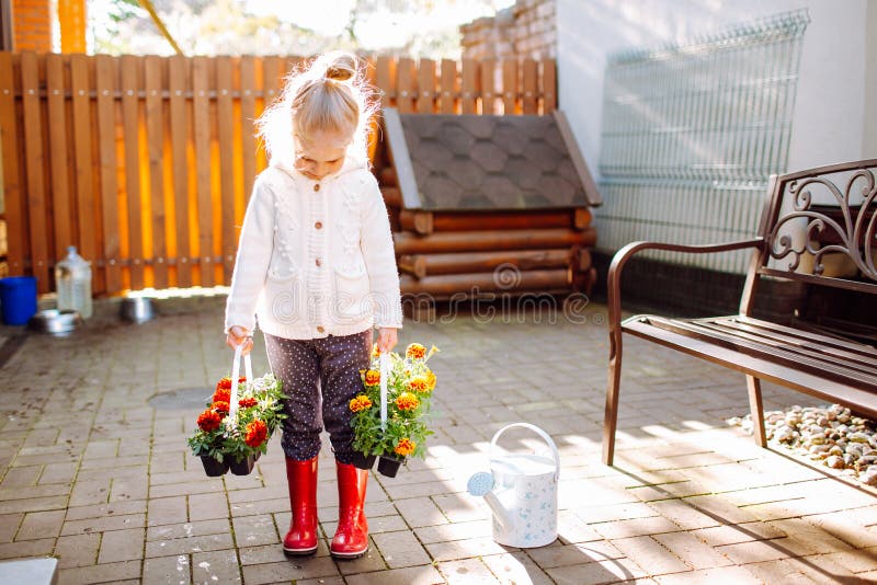 Little blonde smiling girl with two packs of marigold staying at her back yard. The girl is going to transplant flowers. Home royalty free stock photography Little blonde smiling girl with two packs of marigold staying at her back yard. The girl is going to transplant flowers. Home royalty free stock photography