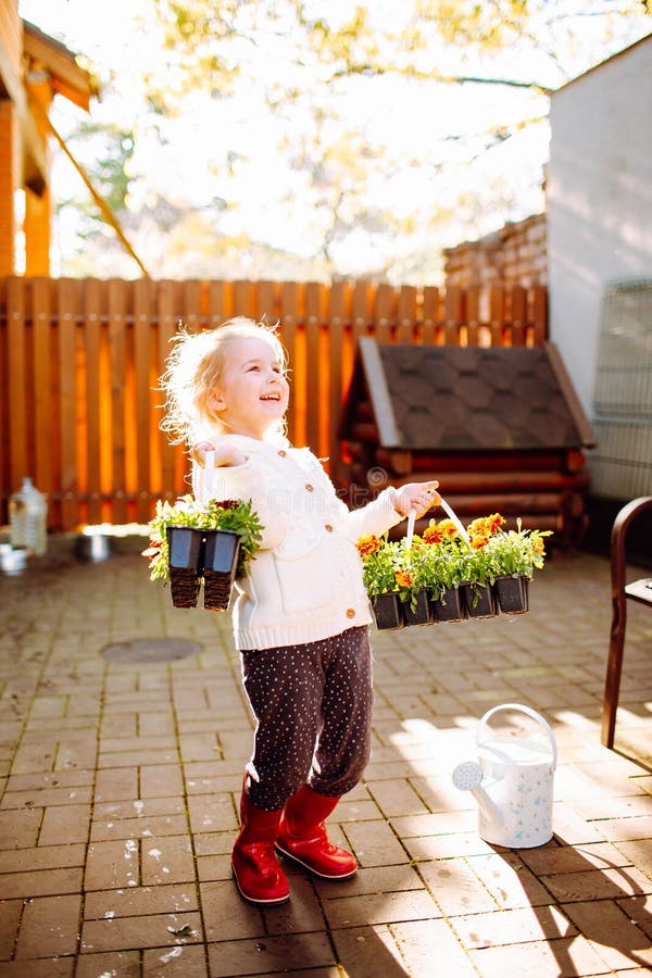 Little blonde smiling girl with two packs of marigold staying at her back yard. The girl is going to transplant flowers. Home stock photography Little blonde smiling girl with two packs of marigold staying at her back yard. The girl is going to transplant flowers. Home stock photography