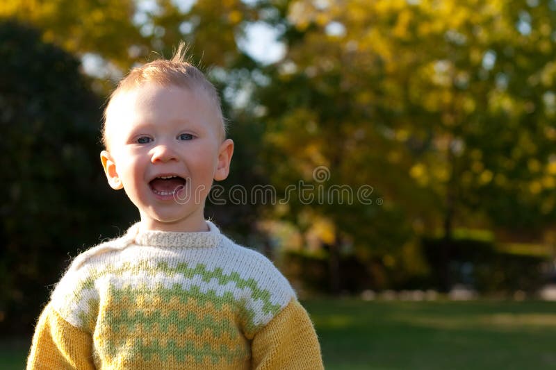 Little boy in autumn park