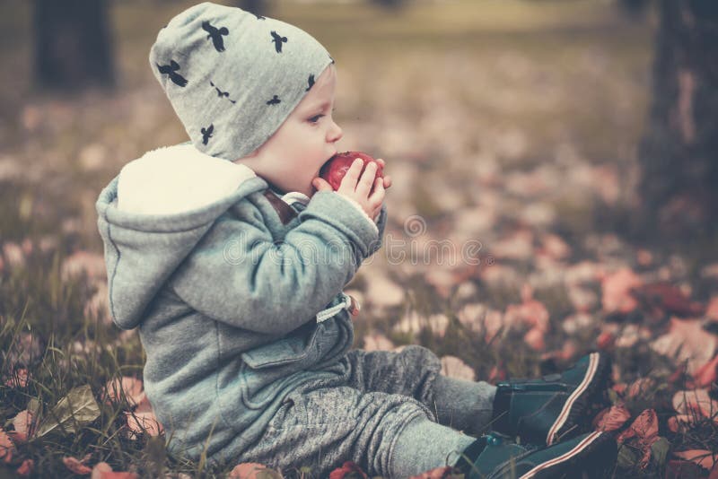 Little boy in autumn park