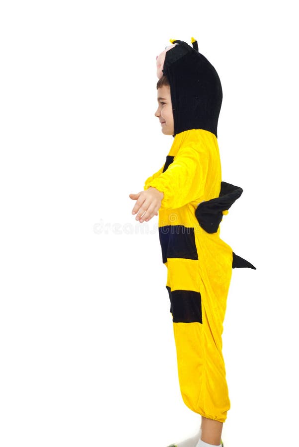 Little boy in bee costume stock photo. Image of cute 16301076