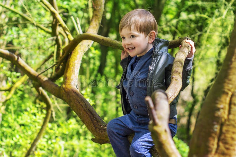Boy climbing the tree. Стоковое фото № 12248076, фотограф Kayo NIWA / PantherMed