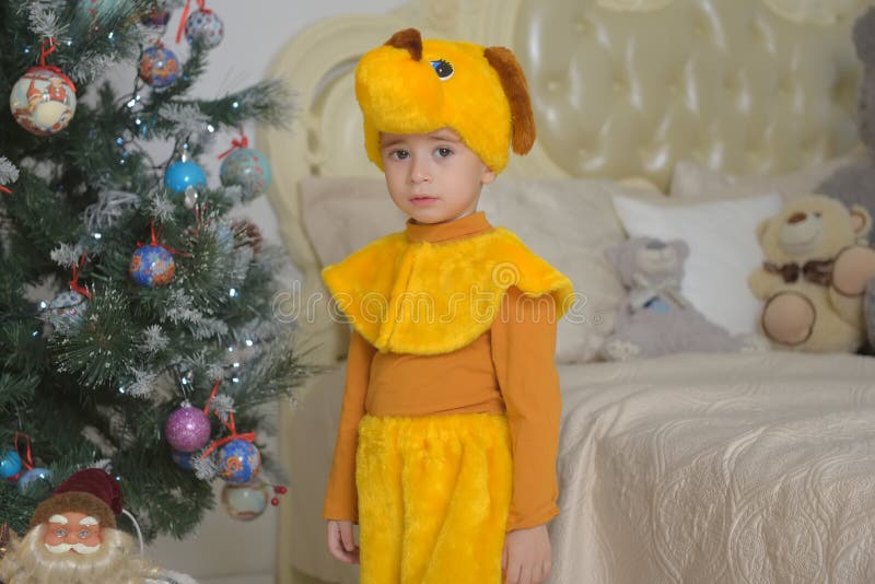 Boy in Dog Costume at Christmas Stock Photo Image of baby, cute