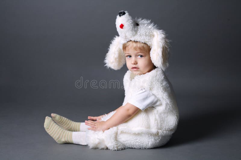 Little Boy with Dog Costume Stock Image Image of little, funny 76574441