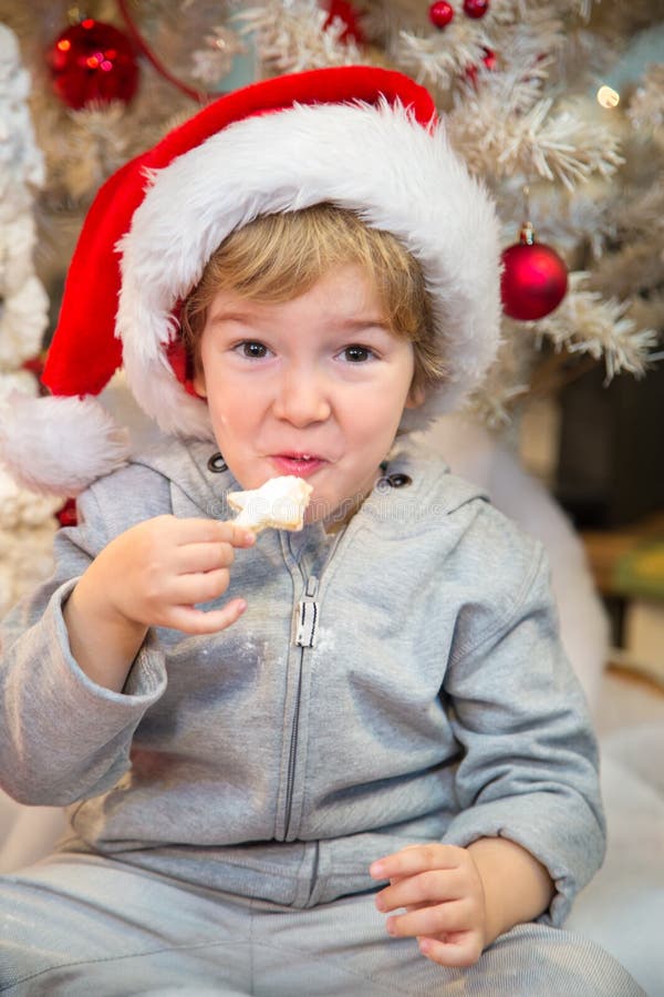 Cat Eating Santas Cookies stock image. Image of hair - 36226773