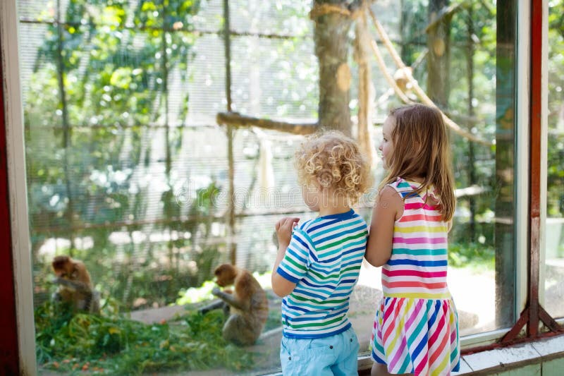 Boy and girl with monkey at zoo. Kids and animals.