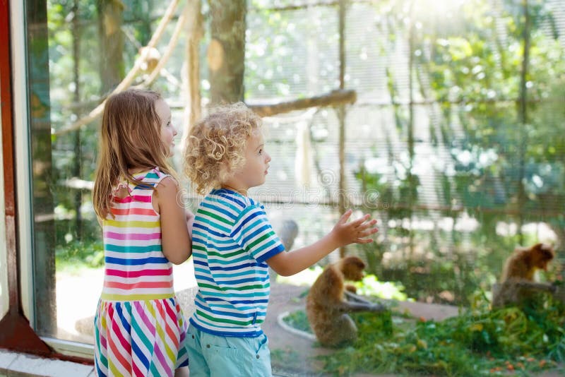 Boy and girl with monkey at zoo. Kids and animals.