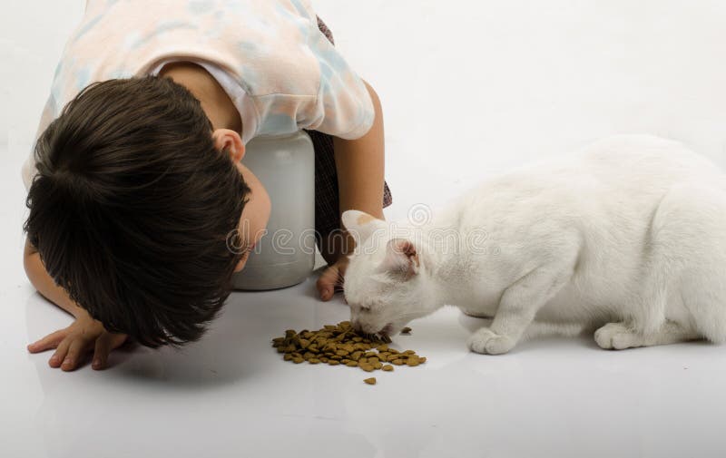 Little Boy Giving Food for Cat Stock Photo Image of baby, sitting 53347354