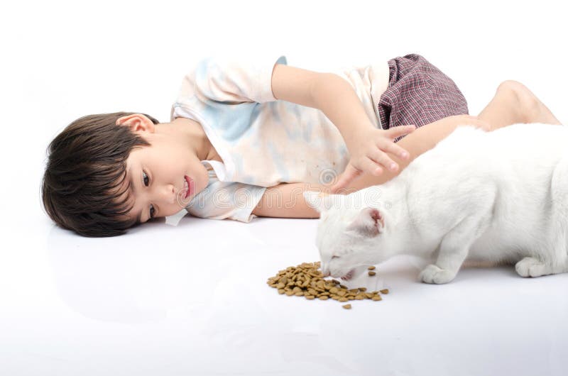 Little Boy Giving Food Cat Stock Photos Free & RoyaltyFree Stock Photos from Dreamstime