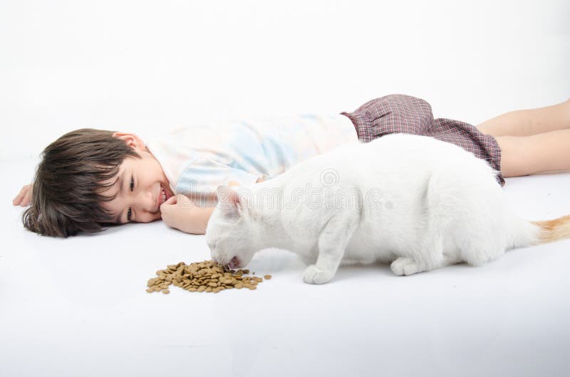 Little Boy Giving Food Cat Stock Photos Free & RoyaltyFree Stock Photos from Dreamstime