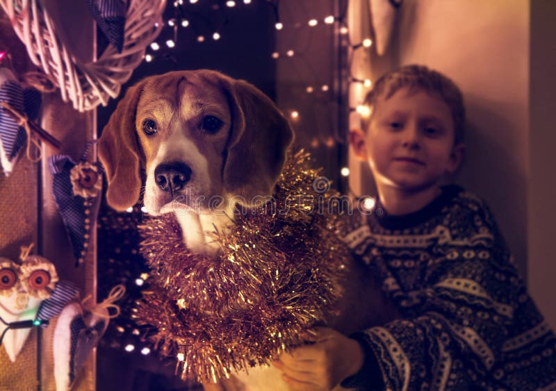 Sad Little Boy Waiting for Christmas Presents Stock Photo - Image of ...