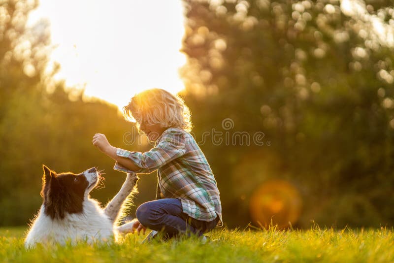 6. Happy little boy with blonde hair and his pet dog - wide 1