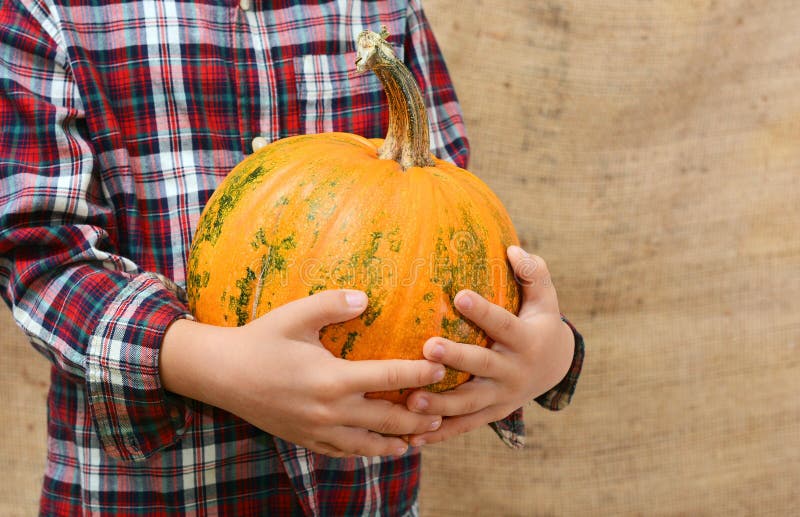 Little Boy Is Holding An Big Orange Pumpkin Stock Photo Image Of Fall