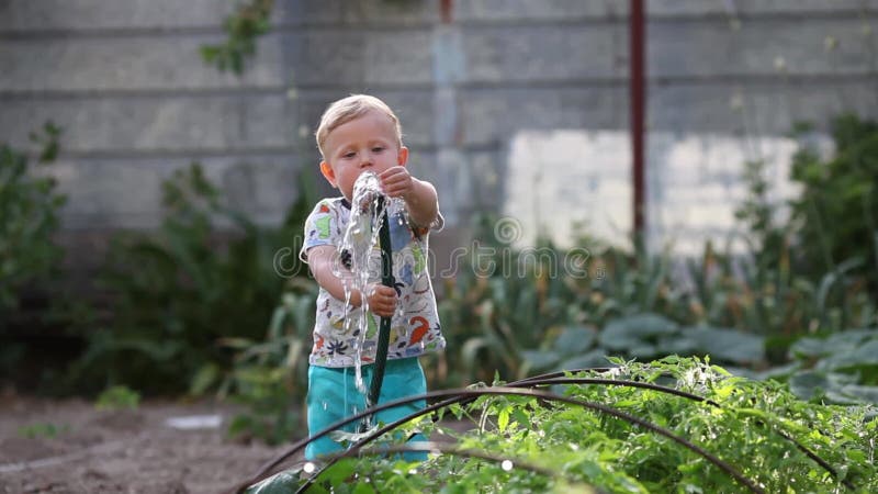 Little boy holds a hose in his hands, plays with water