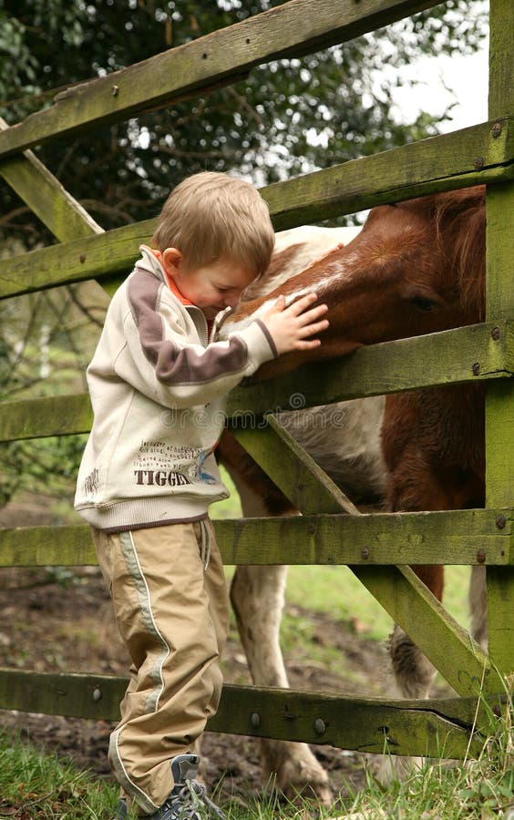 Cute Little Baby Girl Feeding Big Horse on Ranch Stock Image Image of