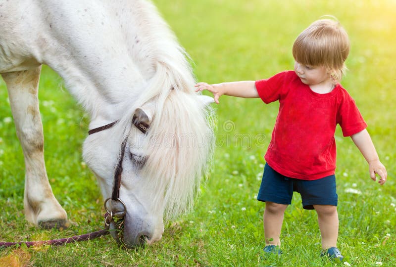 Little Boy and Horse Looking To Each Other Stock Image Image of