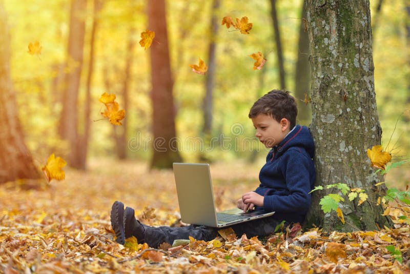 Little boy with laptop in forest, autumn colors, sunset warm light