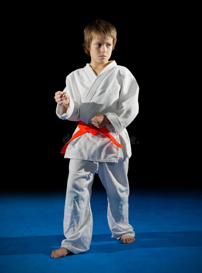 Little Boy Martial Arts Fighter Stock Photo Image of culture