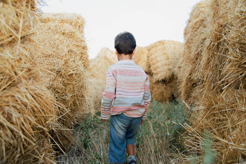 Little boy near hay bale in field. Child on farm land. Wheat yellow golden harvest in autumn. Countryside natural landscape stock images Little boy near hay bale in field. Child on farm land. Wheat yellow golden harvest in autumn. Countryside natural landscape stock images