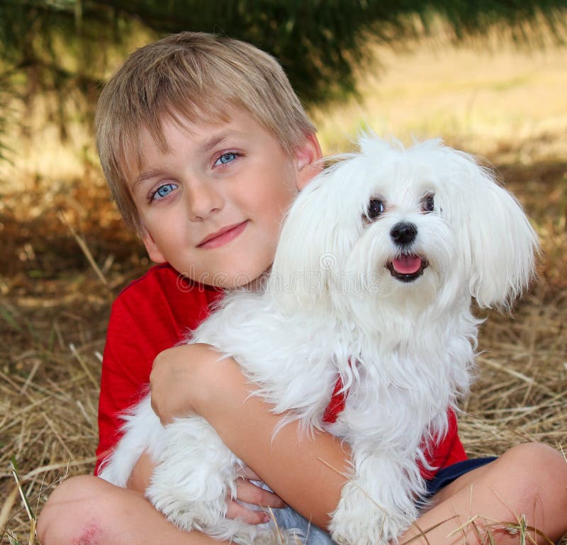 Little Boy with a Pet White Dog Stock Photo - Image of smiling, white ...